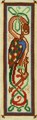 [St Cuthbert's Cormorant]
